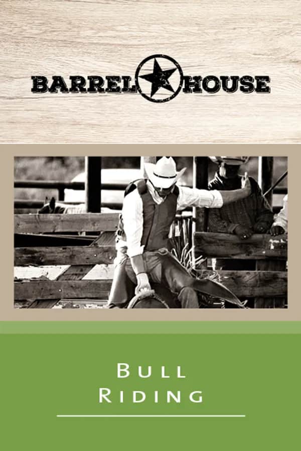 Bull Riding
